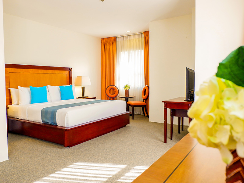 Premier Suite